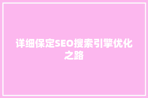 详细保定SEO搜索引擎优化之路