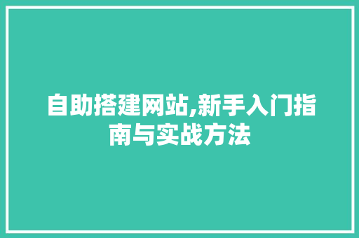 自助搭建网站,新手入门指南与实战方法