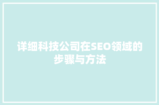 详细科技公司在SEO领域的步骤与方法