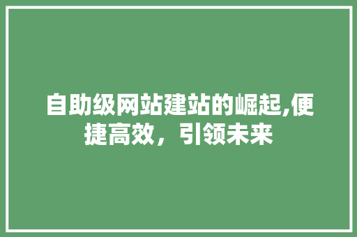 自助级网站建站的崛起,便捷高效，引领未来 自助级网站建站的崛起,便捷高效，引领未来 360搜优化