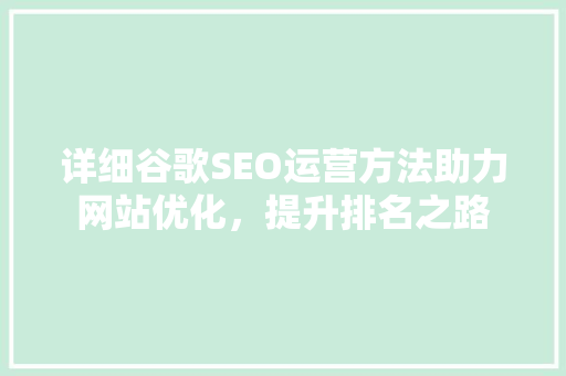 详细谷歌SEO运营方法助力网站优化，提升排名之路 网站优化