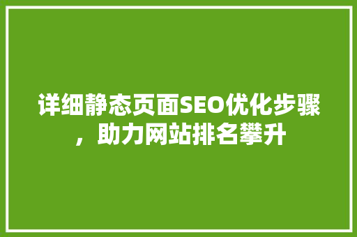 详细静态页面SEO优化步骤，助力网站排名攀升