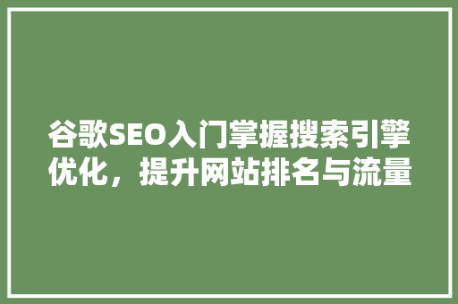 谷歌SEO入门掌握搜索引擎优化，提升网站排名与流量