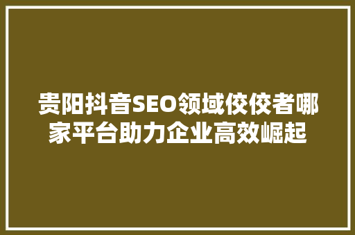贵阳抖音SEO领域佼佼者哪家平台助力企业高效崛起
