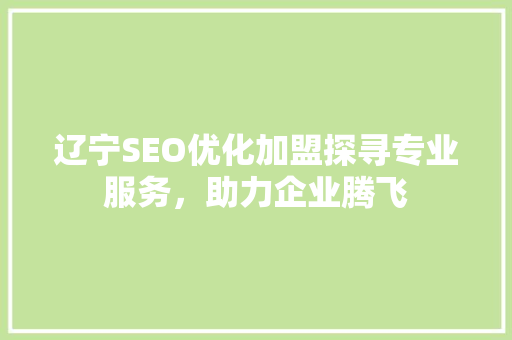 辽宁SEO优化加盟探寻专业服务，助力企业腾飞