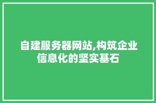 自建服务器网站,构筑企业信息化的坚实基石 自建服务器网站,构筑企业信息化的坚实基石 小程序开发
