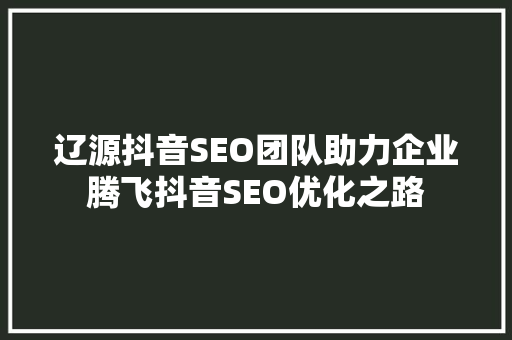 辽源抖音SEO团队助力企业腾飞抖音SEO优化之路 网站优化