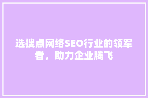 选搜点网络SEO行业的领军者，助力企业腾飞