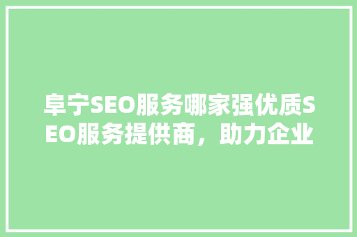 阜宁SEO服务哪家强优质SEO服务提供商，助力企业腾飞 英文谷歌算法