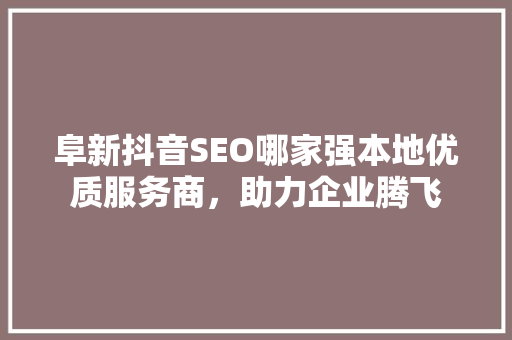 阜新抖音SEO哪家强本地优质服务商，助力企业腾飞 英文谷歌算法