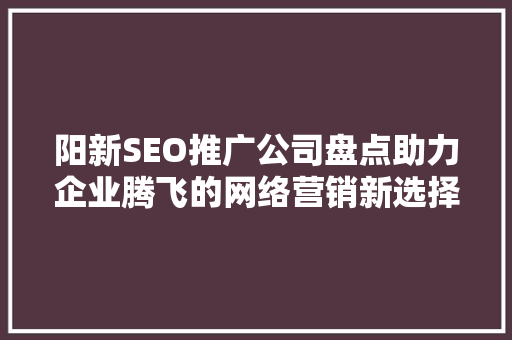 阳新SEO推广公司盘点助力企业腾飞的网络营销新选择