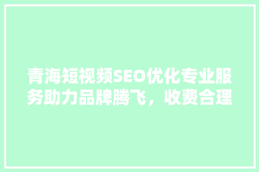 青海短视频SEO优化专业服务助力品牌腾飞，收费合理透明