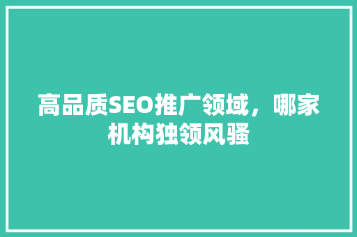 高品质SEO推广领域，哪家机构独领风骚