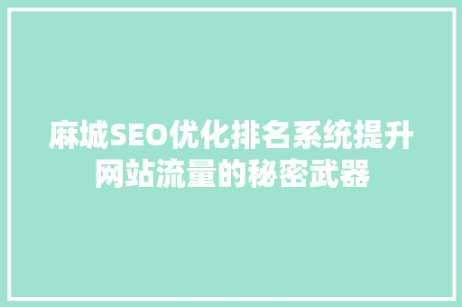 麻城SEO优化排名系统提升网站流量的秘密武器