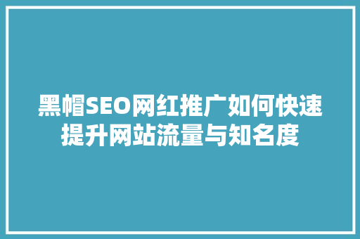 黑帽SEO网红推广如何快速提升网站流量与知名度 网站优化