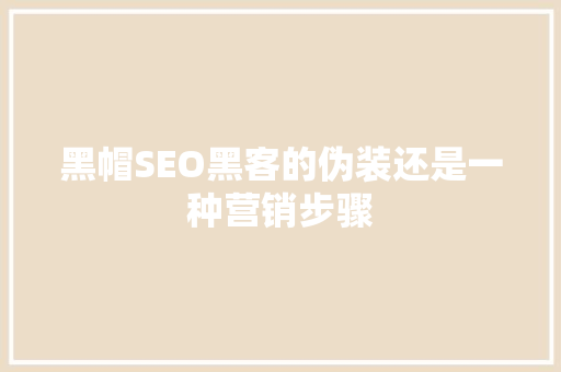 黑帽SEO黑客的伪装还是一种营销步骤 网站开发
