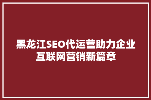 黑龙江SEO代运营助力企业互联网营销新篇章