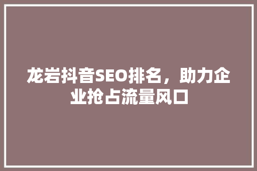 龙岩抖音SEO排名，助力企业抢占流量风口