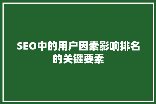 SEO中的用户因素影响排名的关键要素