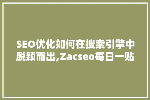 SEO优化如何在搜索引擎中脱颖而出,Zacseo每日一贴详细
