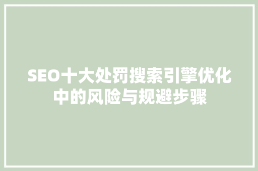 SEO十大处罚搜索引擎优化中的风险与规避步骤 网站优化 SEO十大处罚搜索引擎优化中的风险与规避步骤 网站优化