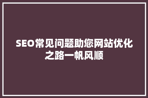 SEO常见问题助您网站优化之路一帆风顺 360搜优化
