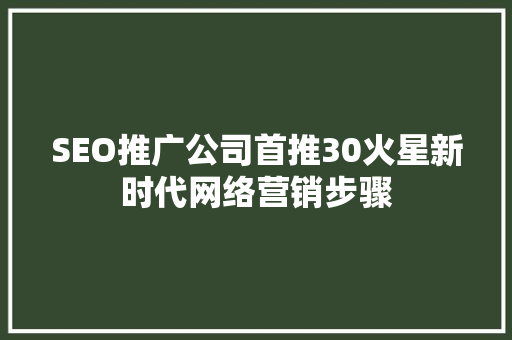 SEO推广公司首推30火星新时代网络营销步骤