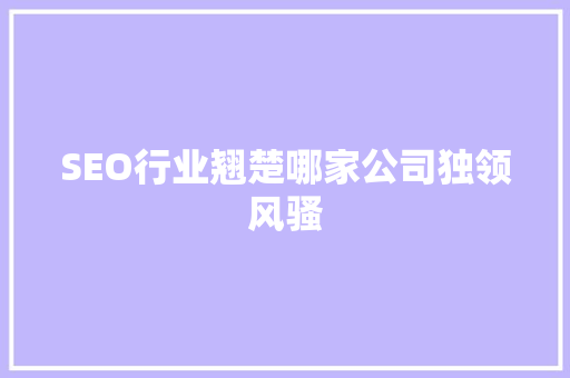 SEO行业翘楚哪家公司独领风骚