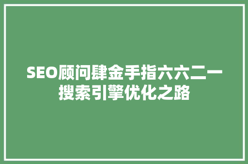 SEO顾问肆金手指六六二一搜索引擎优化之路
