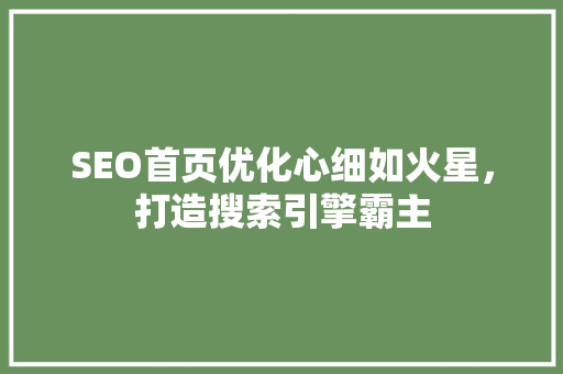 SEO首页优化心细如火星，打造搜索引擎霸主