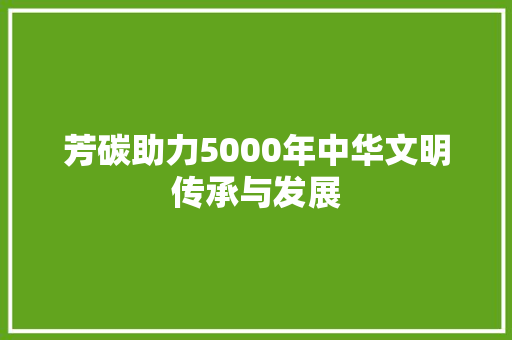 芳碳助力5000年中华文明传承与发展 芳碳助力5000年中华文明传承与发展 英文谷歌算法
