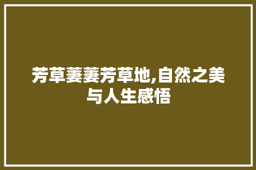 芳草萋萋芳草地,自然之美与人生感悟