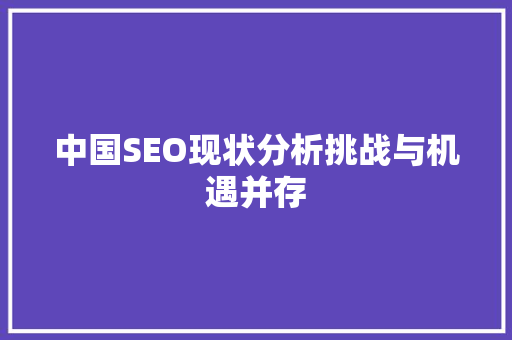 中国SEO现状分析挑战与机遇并存