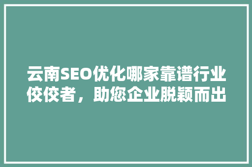 云南SEO优化哪家靠谱行业佼佼者，助您企业脱颖而出