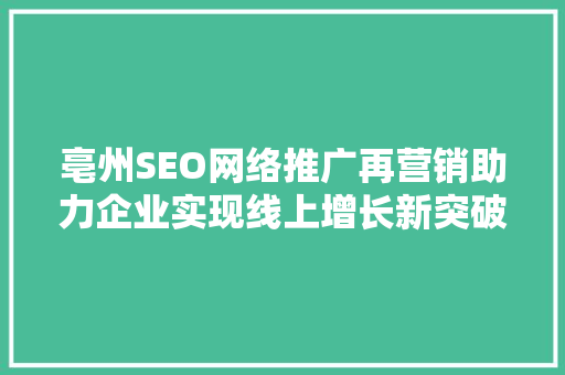 亳州SEO网络推广再营销助力企业实现线上增长新突破