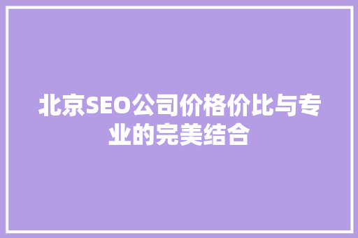 北京SEO公司价格价比与专业的完美结合
