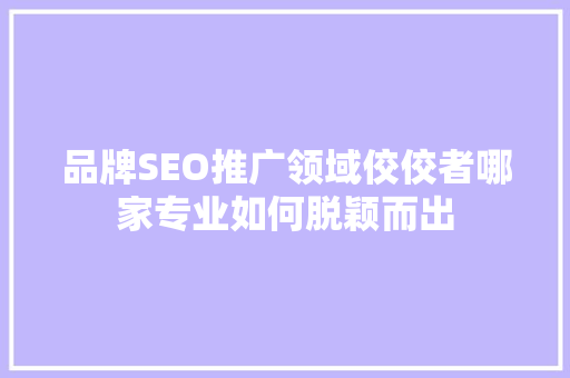 品牌SEO推广领域佼佼者哪家专业如何脱颖而出