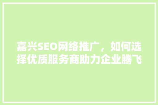 嘉兴SEO网络推广，如何选择优质服务商助力企业腾飞 搜狗优化