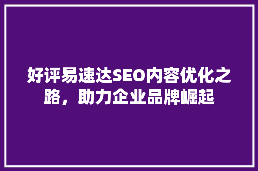 好评易速达SEO内容优化之路，助力企业品牌崛起