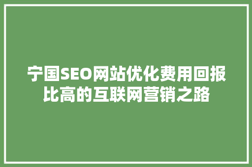 宁国SEO网站优化费用回报比高的互联网营销之路