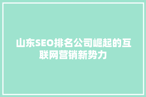 山东SEO排名公司崛起的互联网营销新势力