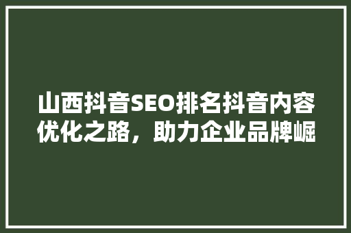 山西抖音SEO排名抖音内容优化之路，助力企业品牌崛起