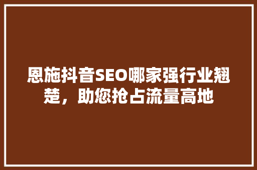 恩施抖音SEO哪家强行业翘楚，助您抢占流量高地
