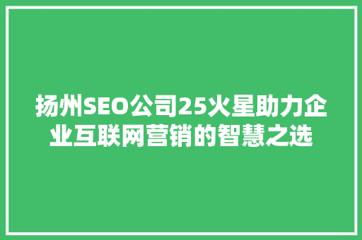 扬州SEO公司25火星助力企业互联网营销的智慧之选