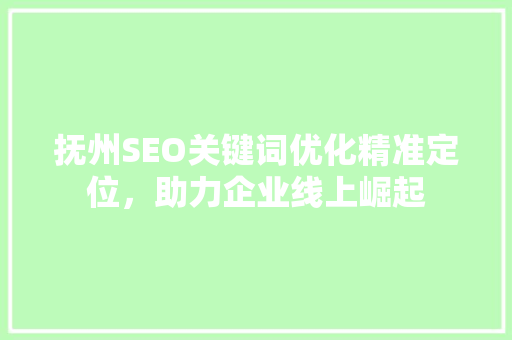 抚州SEO关键词优化精准定位，助力企业线上崛起