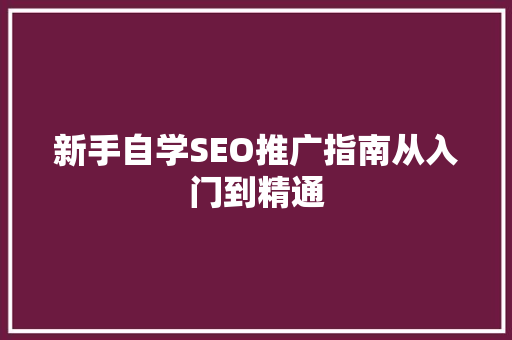 新手自学SEO推广指南从入门到精通 英文谷歌算法