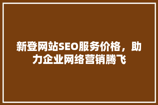 新登网站SEO服务价格，助力企业网络营销腾飞