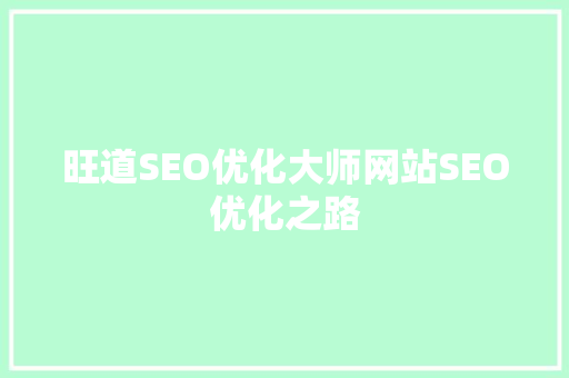 旺道SEO优化大师网站SEO优化之路