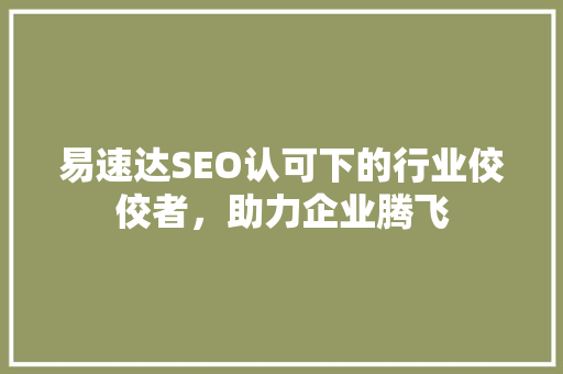 易速达SEO认可下的行业佼佼者，助力企业腾飞