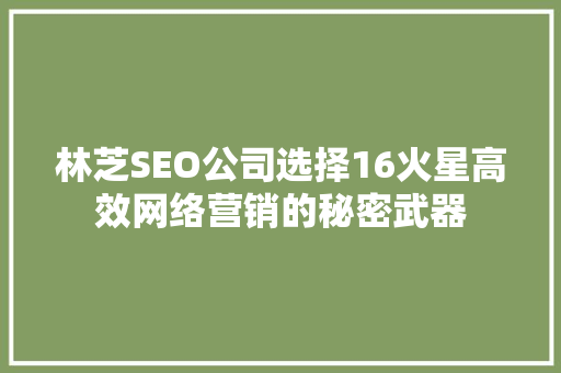 林芝SEO公司选择16火星高效网络营销的秘密武器